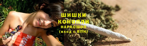 индика Нефтегорск
