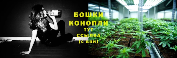 винт Нея