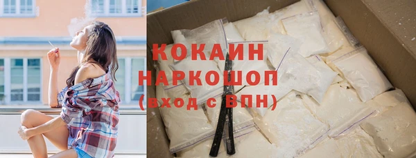 индика Нефтегорск