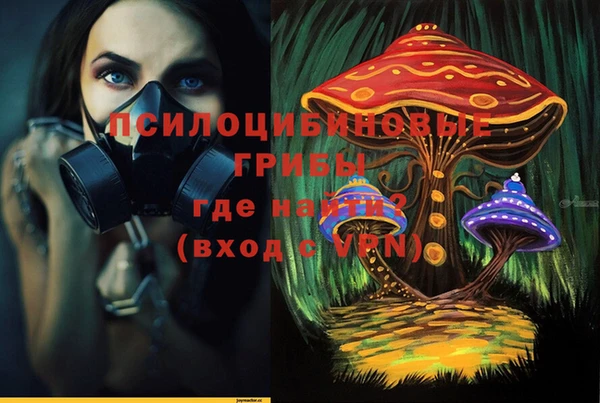 винт Нея