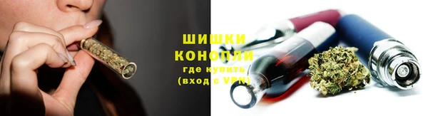 винт Нея