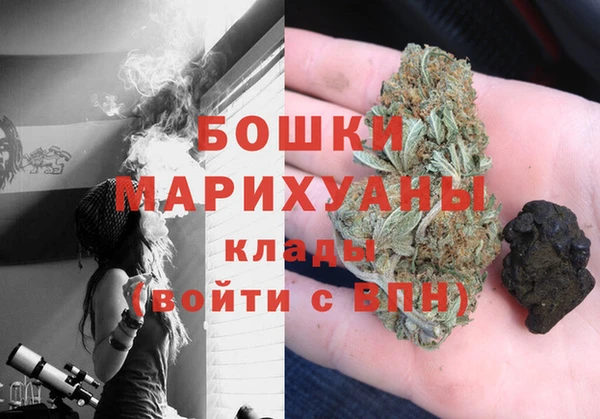 индика Нефтегорск