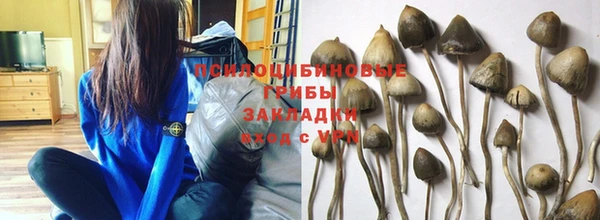 индика Нефтегорск