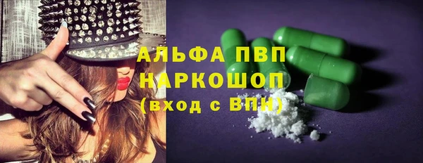 индика Нефтегорск