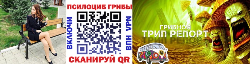 Псилоцибиновые грибы MAGIC MUSHROOMS  Княгинино 